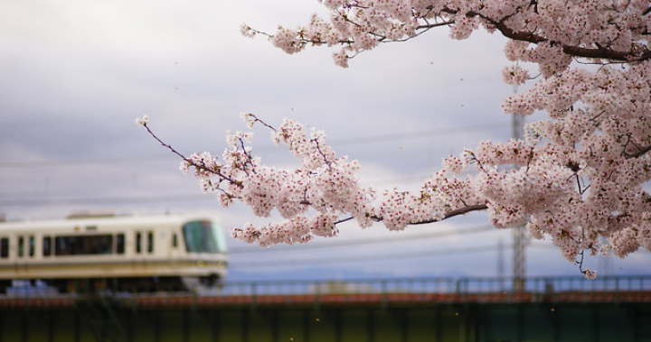 The Charming G（四）Contax G90：從數位時代新生