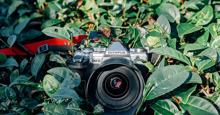 經典容顏的復歸：Olympus E-M5 III